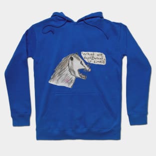 Existential Possum Hoodie